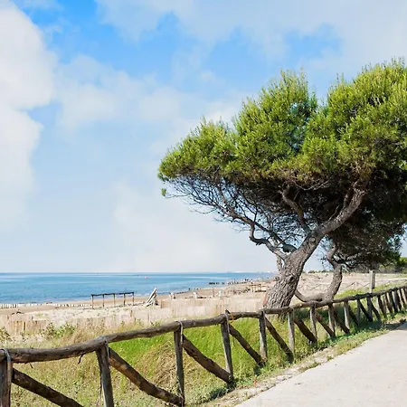 Seafront Flat With Splendid Views From The Terrace * 비비오네